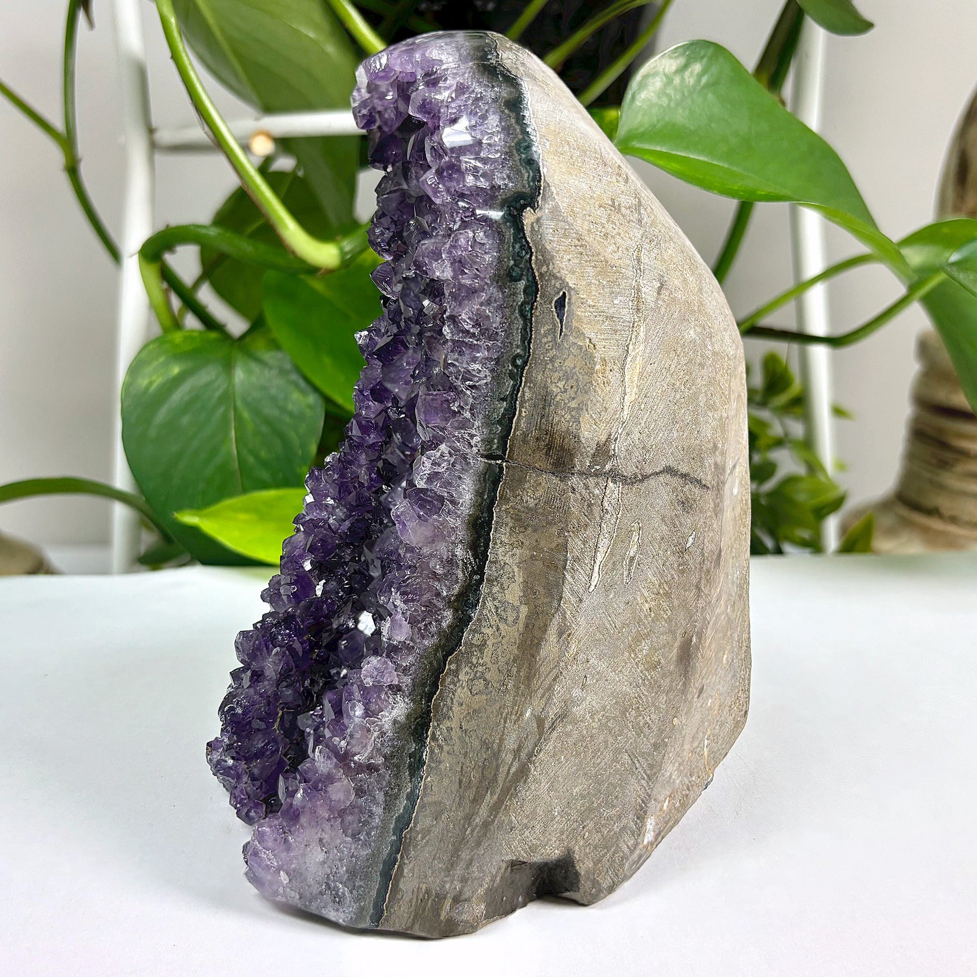 Amethyst Cut Base Geode Wholesale - Gem Avenue