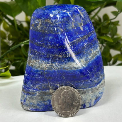 Lapis Lazuli Freeform Rock - Gem Avenue