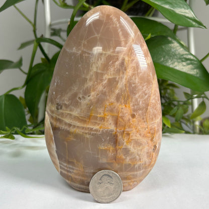 Moonstone Freeform Rock - Gem Avenue