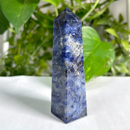 Polished Natural Sodalite Crystal Obelisk Tower Point for Home Décor, Energy Focus, Balance, and Aesthetic Display - 12-0160