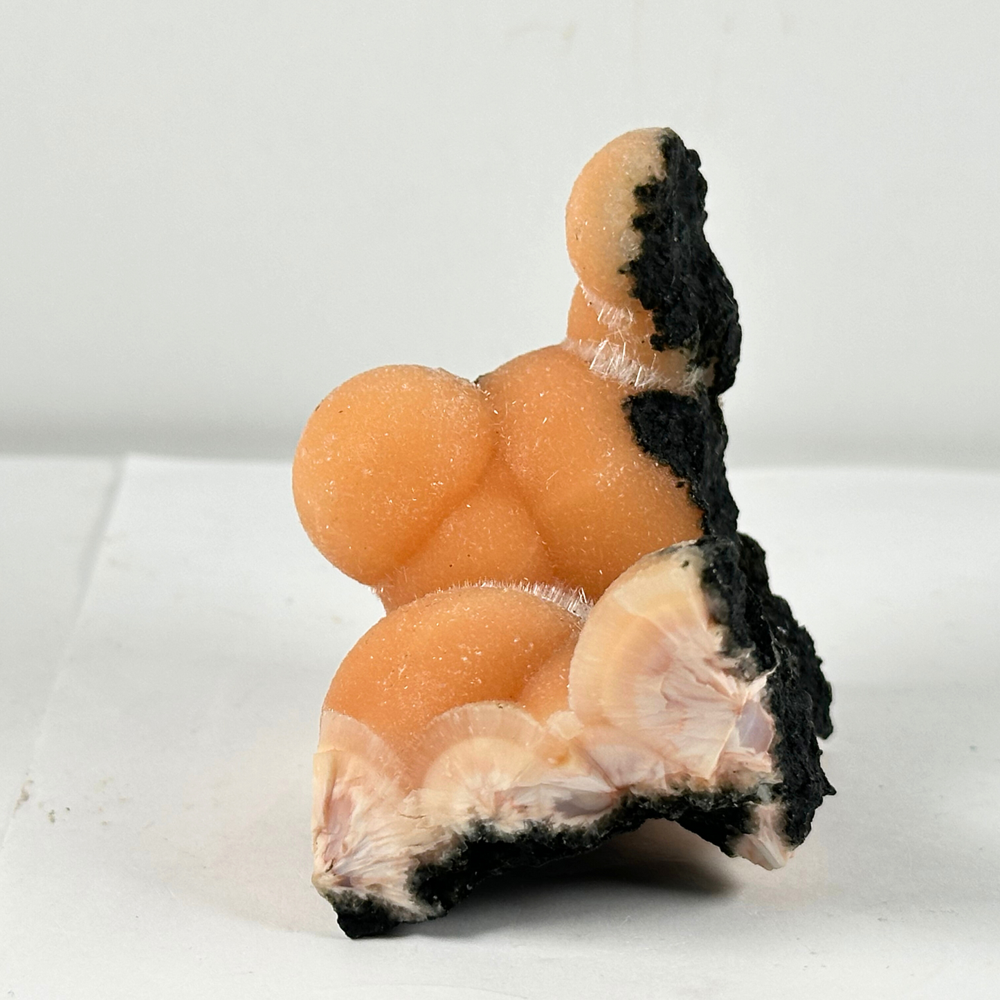 Thomsonite and Mesolite Mineral Specimen Natural Zeolite Crystal Formation From India - RMI752