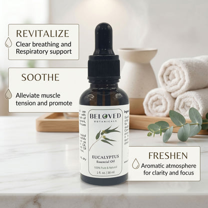 Beloved Botanicals Eucalyptus Essential Oil 30ml (1 Fl Oz) 100% Pure & Natural Aromatherapy Oil for Diffuser, Massage, Humidifier, Spa & DIY Blends  Eucalyptus globulus