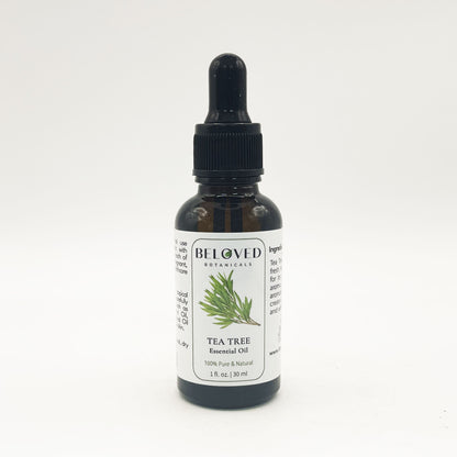 Beloved Botanicals Tea Tree Essential Oil 30ml (1 Fl Oz) 100% Pure & Natural Melaleuca alternifolia Oil for Aromatherapy, Diffusers, Skincare, Hair Care, DIY Soap & Candle Making