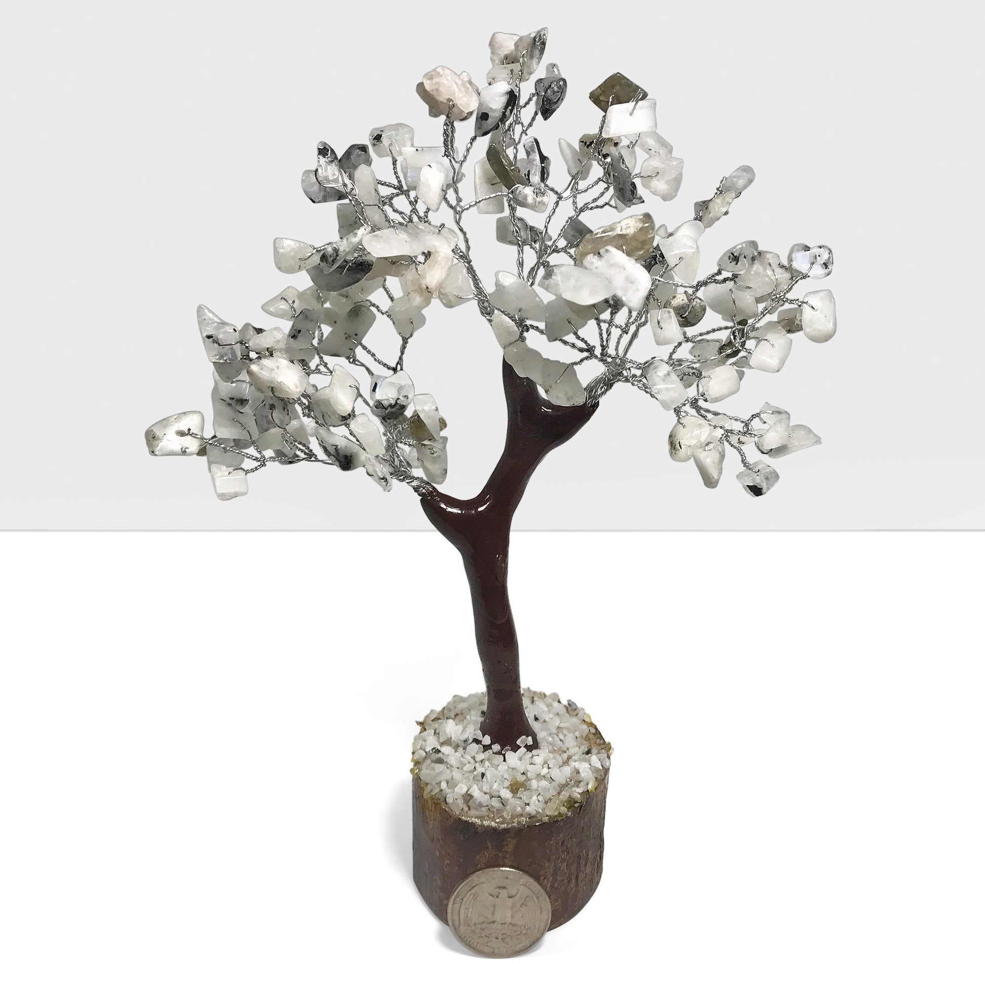Natural Rainbow Moonstone Crystal Gemstone Tree Home Decor - Gem Avenue
