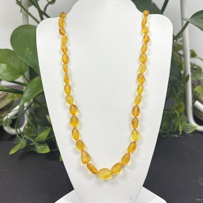 Natural Baltic Amber Beads Necklace -Gem Avenue