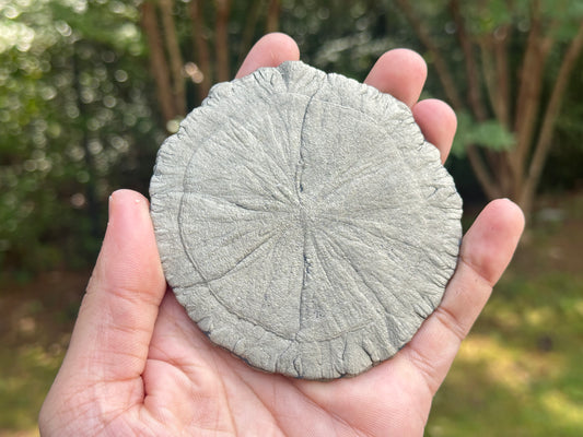 Natural Pyrite Sun Crystal Specimen Mineral Display, Healing Crystal, Collectors Gemstone