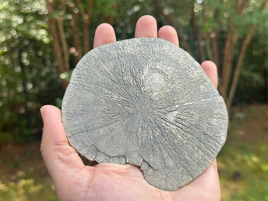 Natural Pyrite Sun Crystal Specimen 5 Inch Golden Sunburst Mineral Stone from Illinois USA, Healing Crystal, Collectors Gemstone, Rare Fool’s Gold