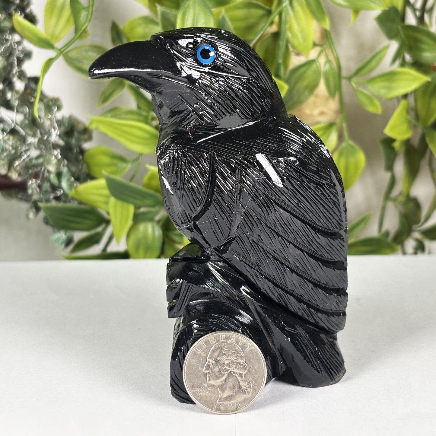 Black Onyx Raven Hand-Carved Crystal Figurine for Healing, Protection, Spiritual Energy, Altar Decor & Unique Gifts - RAN125