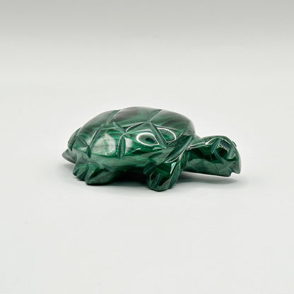 Natural Malachite Turtle Carving - Gem Avenue