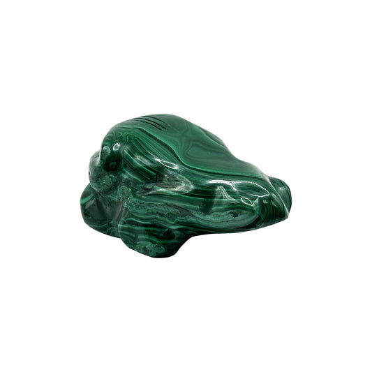 Natural Malachite Frog Carving - Gem Avenue
