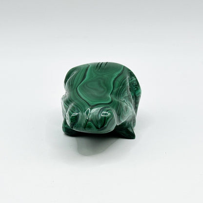 Natural Malachite Frog Carving - Gem Avenue