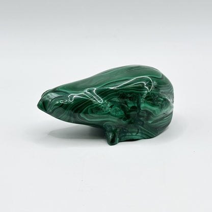 Natural Malachite Frog Carving - Gem Avenue
