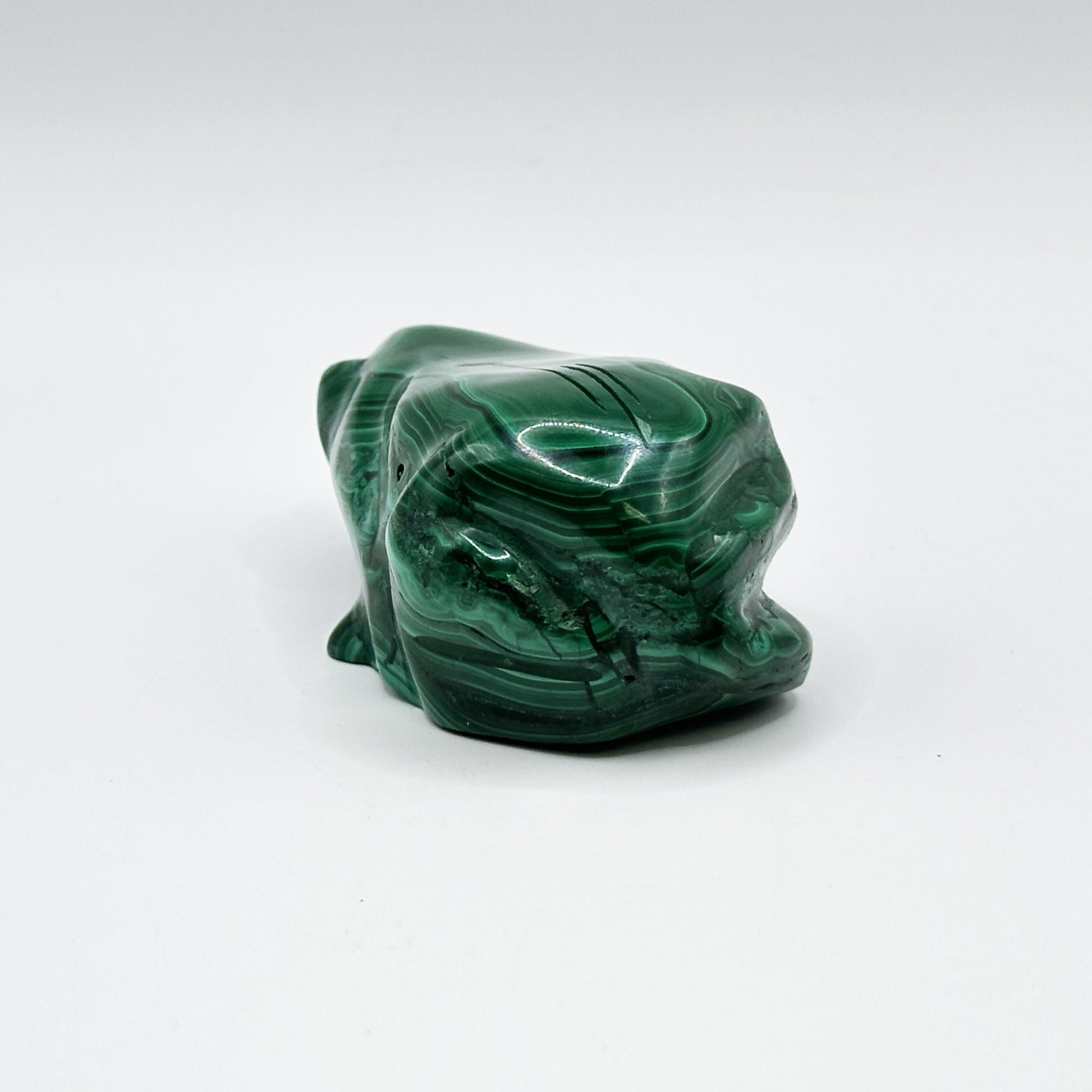 Natural Malachite Frog Carving - Gem Avenue