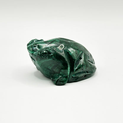 Natural Malachite Frog Carving - Gem Avenue