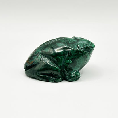 Natural Malachite Frog Carving - Gem Avenue
