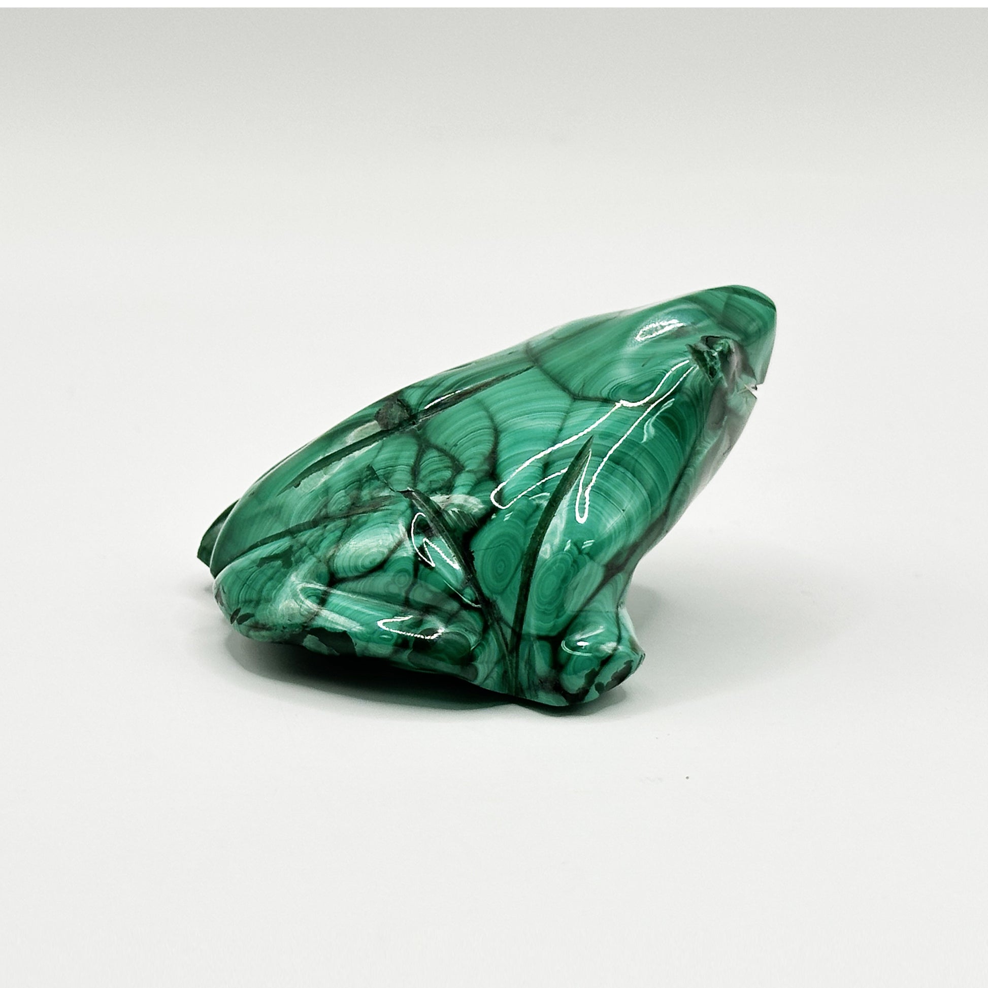 Natural Malachite Frog Carving - Gem Avenue