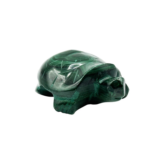 0.75" Natural Malachite Turtle Carving from Congo - RAN521 - Gem Avenue