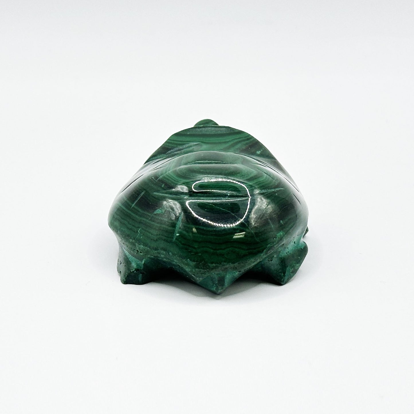 0.75" Natural Malachite Turtle Carving from Congo - RAN521 - Gem Avenue