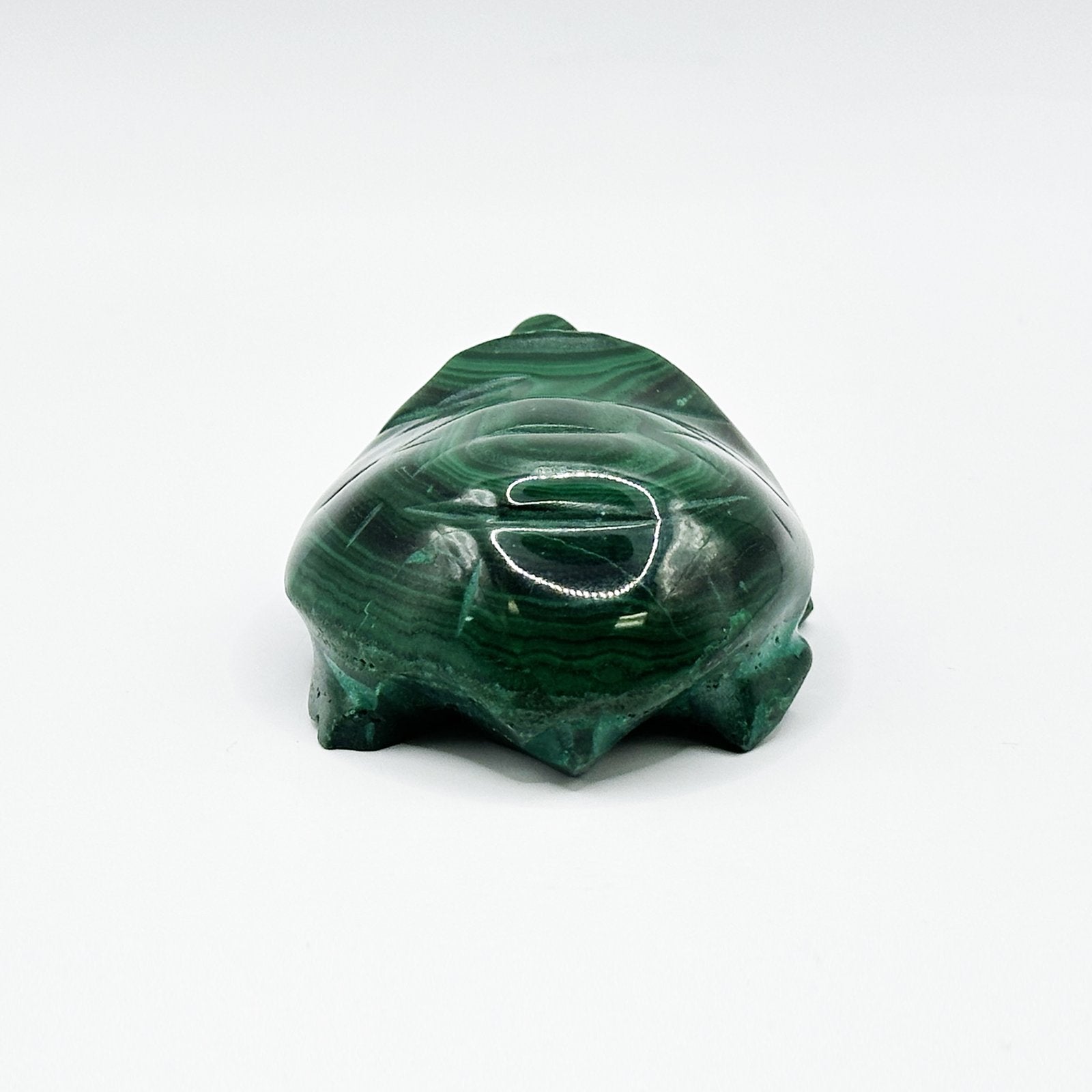 0.75" Natural Malachite Turtle Carving from Congo - RAN521 - Gem Avenue