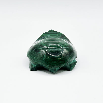0.75" Natural Malachite Turtle Carving from Congo - RAN521 - Gem Avenue