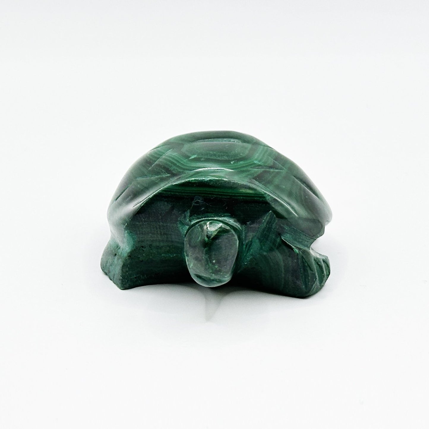 0.75" Natural Malachite Turtle Carving from Congo - RAN521 - Gem Avenue