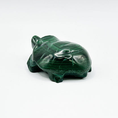 0.75" Natural Malachite Turtle Carving from Congo - RAN521 - Gem Avenue