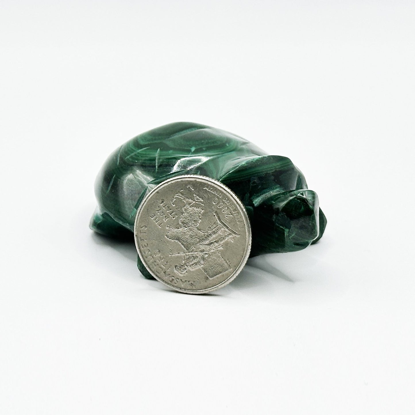 0.75" Natural Malachite Turtle Carving from Congo - RAN521 - Gem Avenue