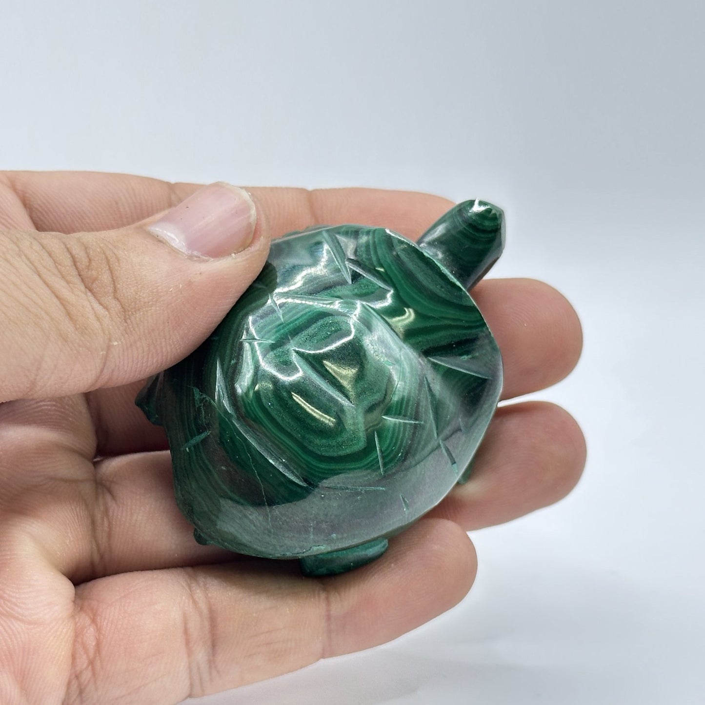 0.75" Natural Malachite Turtle Carving from Congo - RAN521 - Gem Avenue