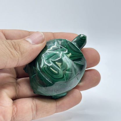 0.75" Natural Malachite Turtle Carving from Congo - RAN521 - Gem Avenue