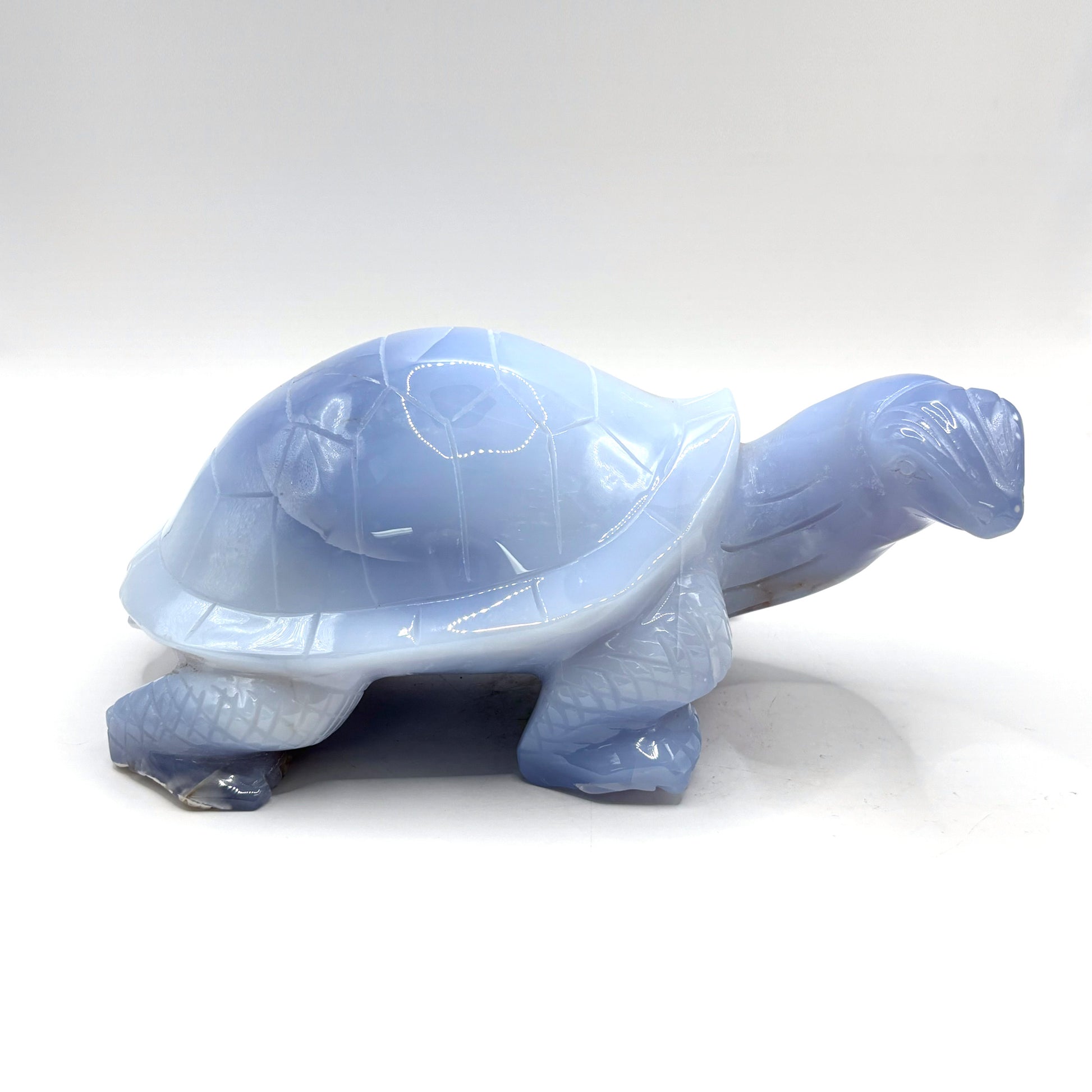 Blue Chalcedony Turtle Figurine
