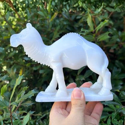 Hand Carved White Chalcedony Crystal Camel Figurine for Energy Healing, Good Luck, Meditation & Home Decorative Display- RAN530