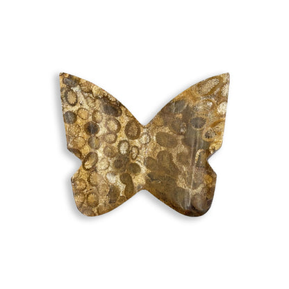 Fossilized Coral Butterfly Carving Natural Handcrafted Crystal Decor for Home & Gift - RAN548