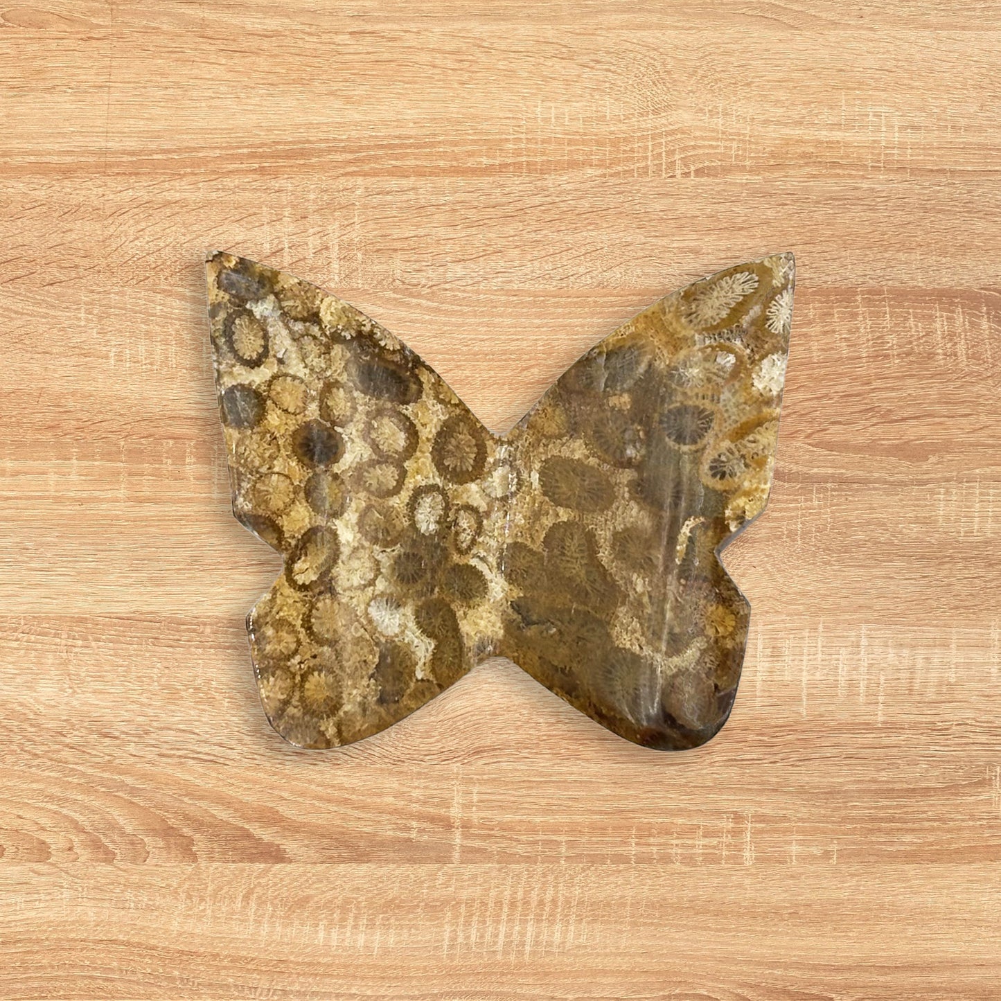 Fossilized Coral Butterfly Carving Natural Handcrafted Crystal Decor for Home & Gift - RAN548