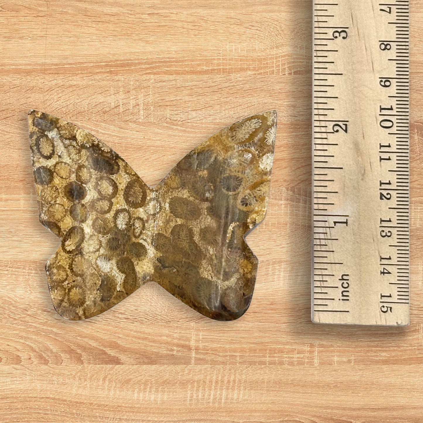 Fossilized Coral Butterfly Carving Natural Handcrafted Crystal Decor for Home & Gift - RAN548