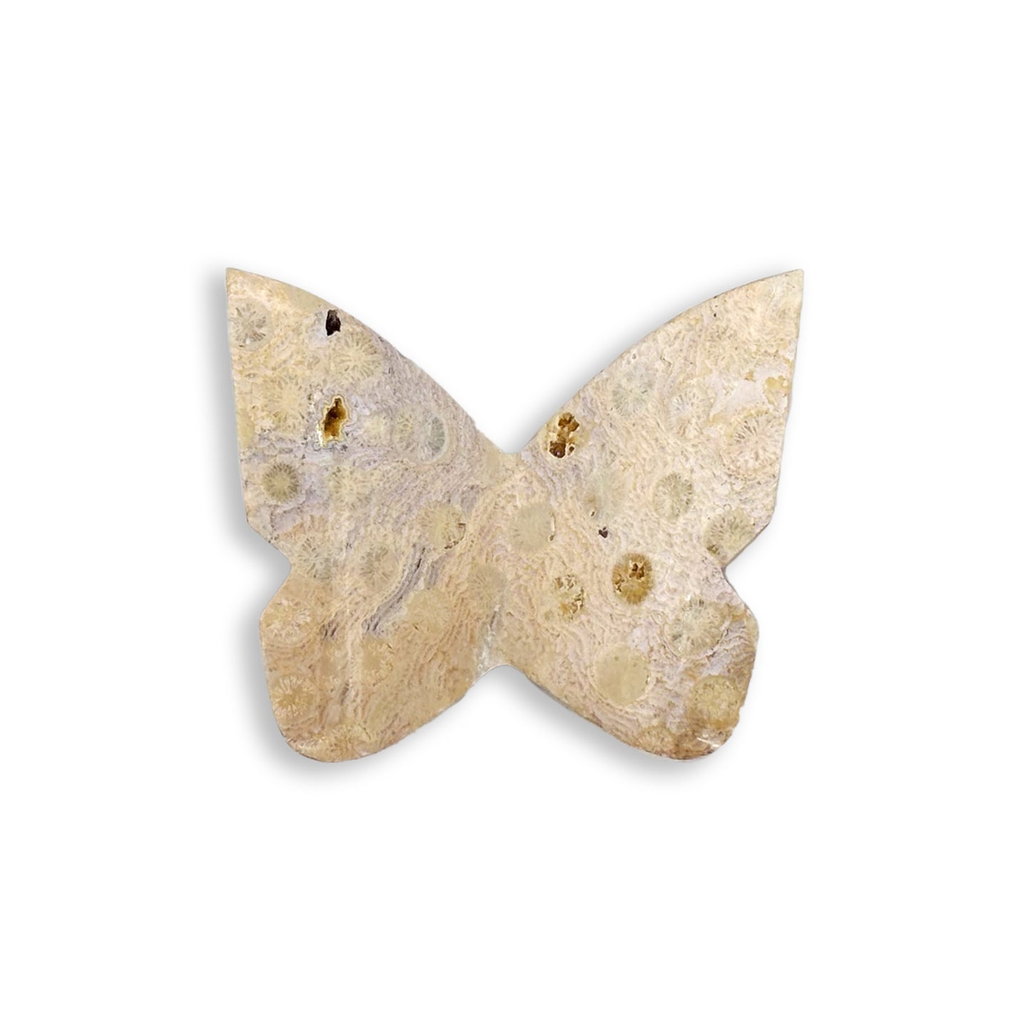 Fossilized Coral Butterfly Carving Natural Handcrafted Crystal Decor for Home & Gift - RAN553