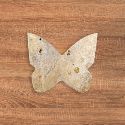 Fossilized Coral Butterfly Carving Natural Handcrafted Crystal Decor for Home & Gift - RAN553