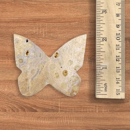 Fossilized Coral Butterfly Carving Natural Handcrafted Crystal Decor for Home & Gift - RAN553