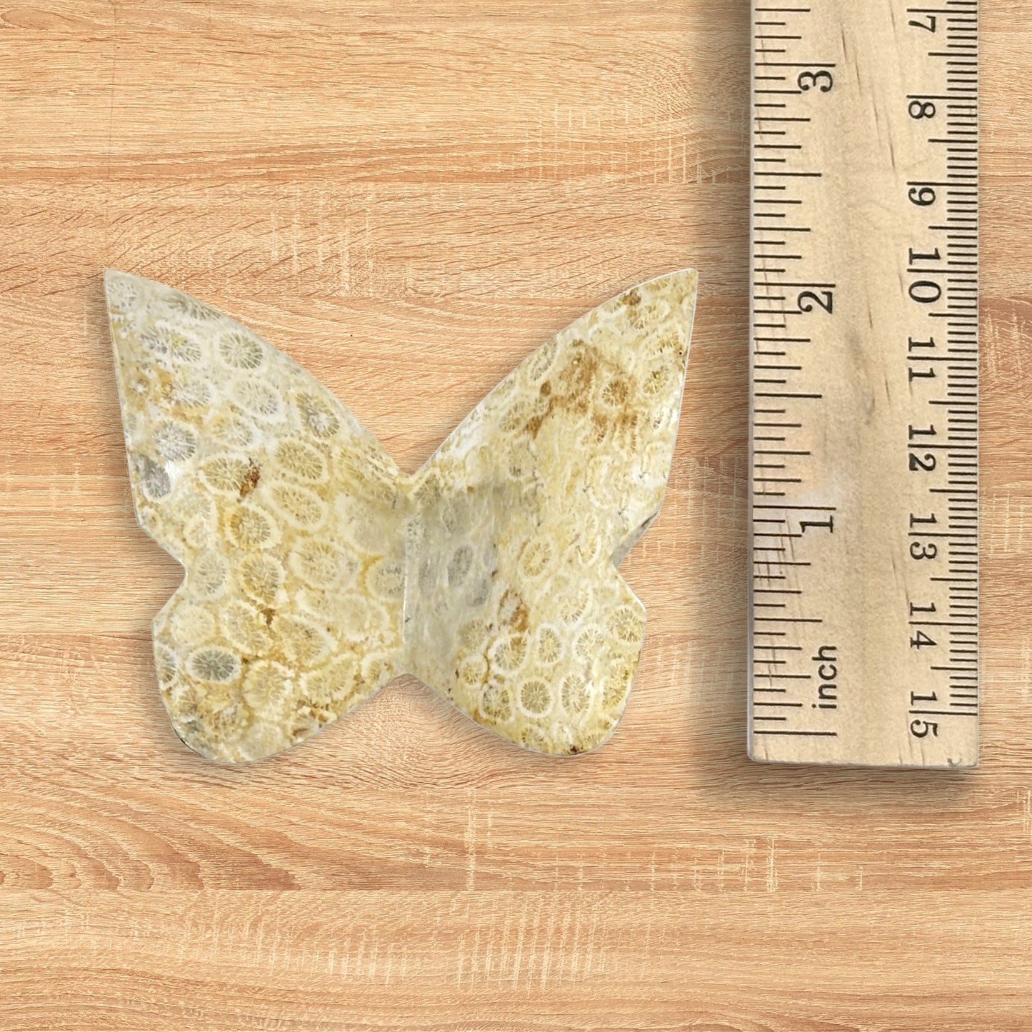 Fossilized Coral Butterfly Carving Natural Handcrafted Crystal Decor for Home & Gift - RAN555