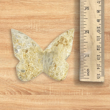 Fossilized Coral Butterfly Carving Natural Handcrafted Crystal Decor for Home & Gift - RAN555