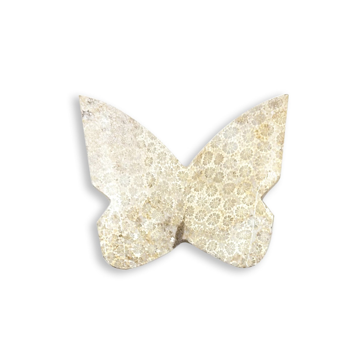 Fossilized Coral Butterfly Carving Natural Handcrafted Crystal Decor for Home & Gift - RAN560