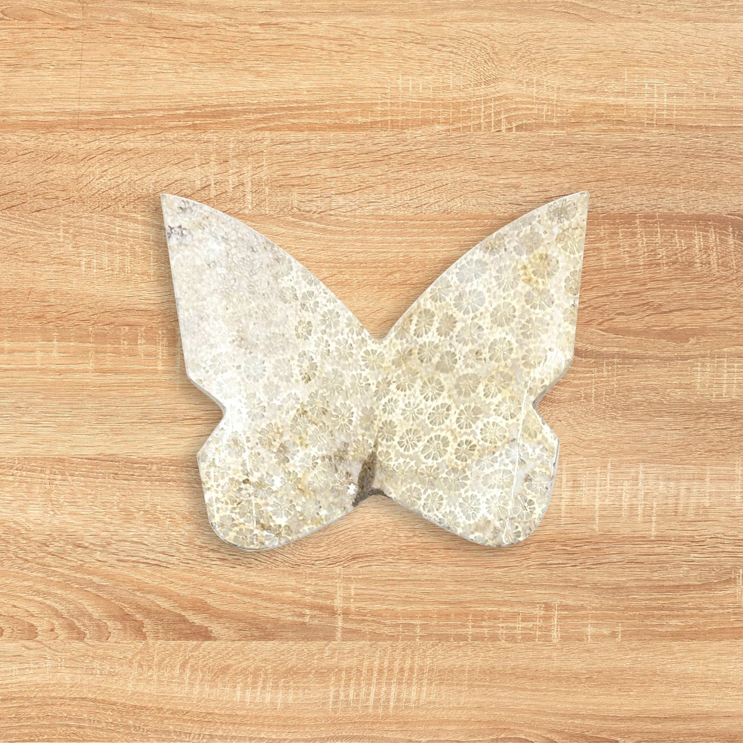 Fossilized Coral Butterfly Carving Natural Handcrafted Crystal Decor for Home & Gift - RAN560
