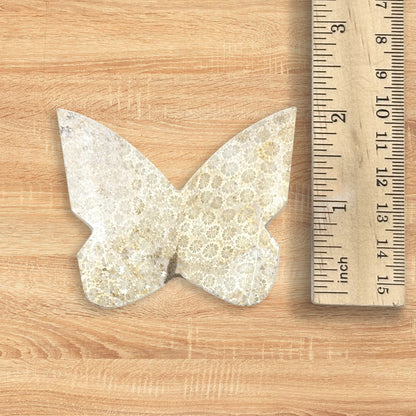 Fossilized Coral Butterfly Carving Natural Handcrafted Crystal Decor for Home & Gift - RAN560