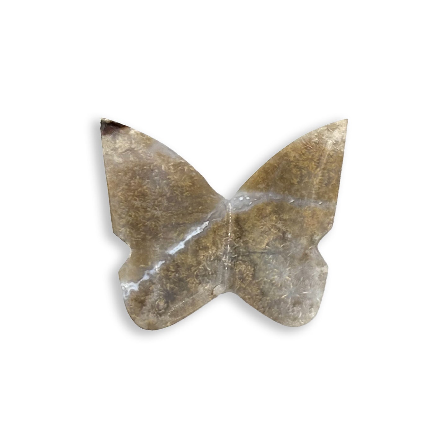 Fossilized Coral Butterfly Carving Natural Handcrafted Crystal Decor for Home & Gift - RAN567