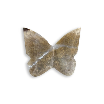 Fossilized Coral Butterfly Carving Natural Handcrafted Crystal Decor for Home & Gift - RAN567