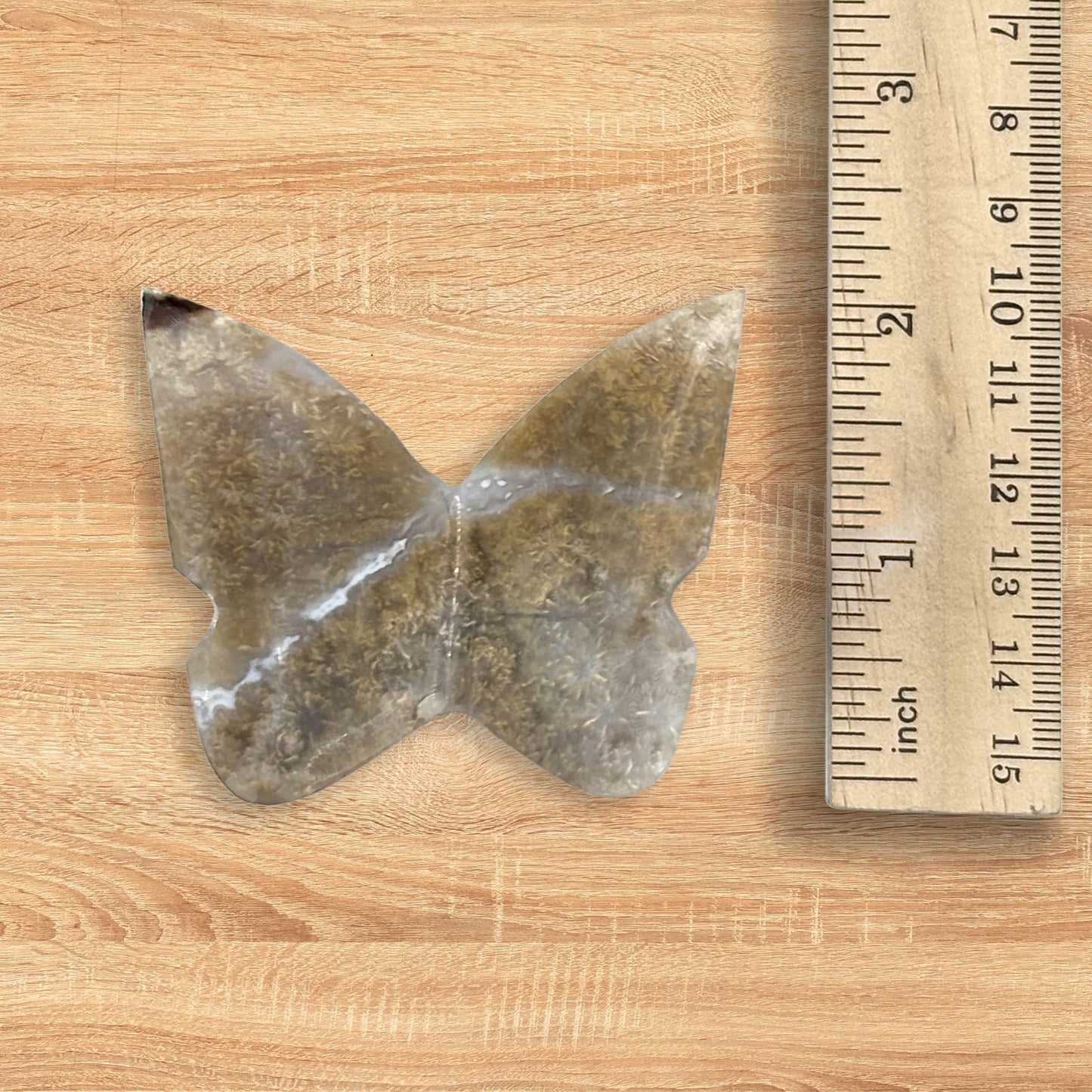 Fossilized Coral Butterfly Carving Natural Handcrafted Crystal Decor for Home & Gift - RAN567