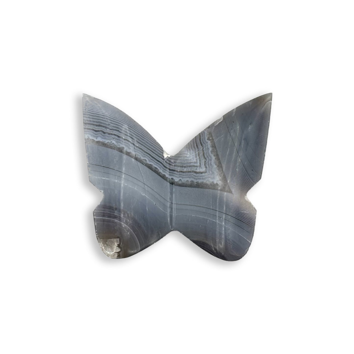 Timor Agate Butterfly Carving Natural Handcrafted Crystal Decor for Home & Gift - RAN568