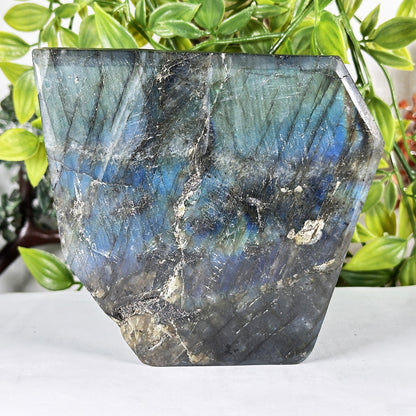 Labradorite Lion Sculpture Hand-Carved Gemstone with Blue Fire Flash - RAN572