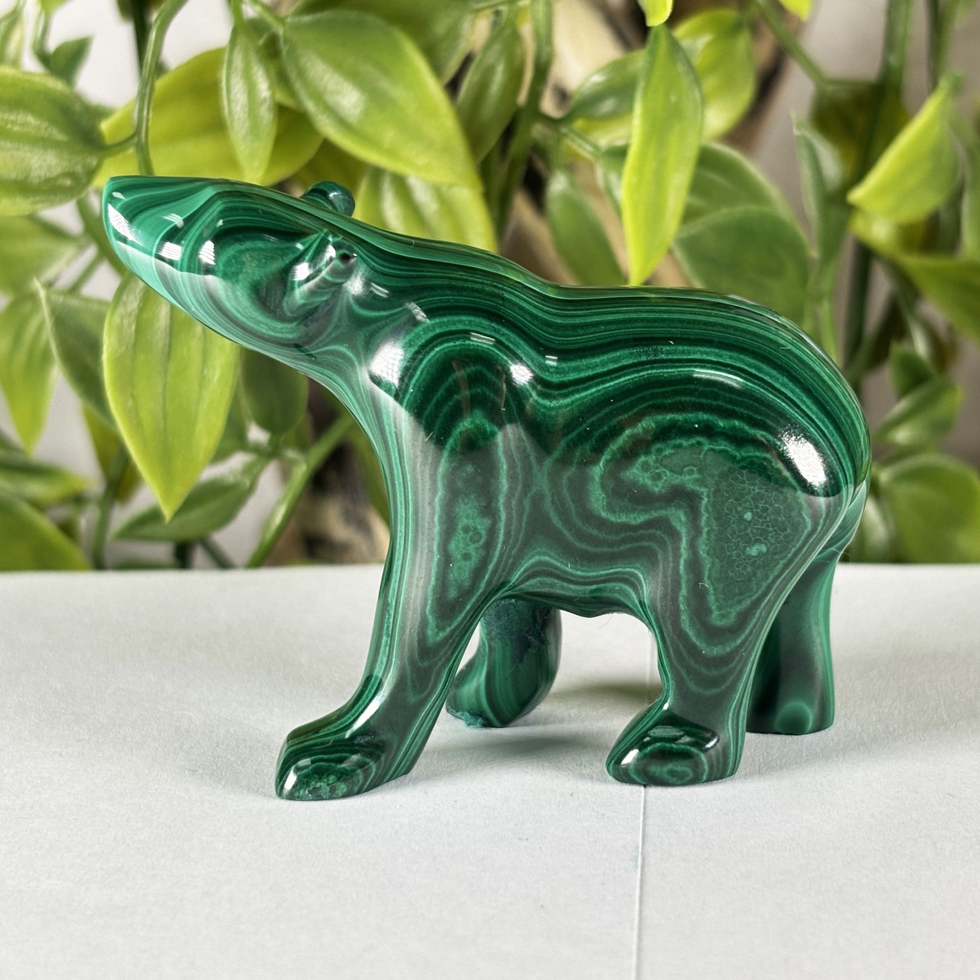 Malachite Gemstone Bear Figurine - Gem Avenue Retail