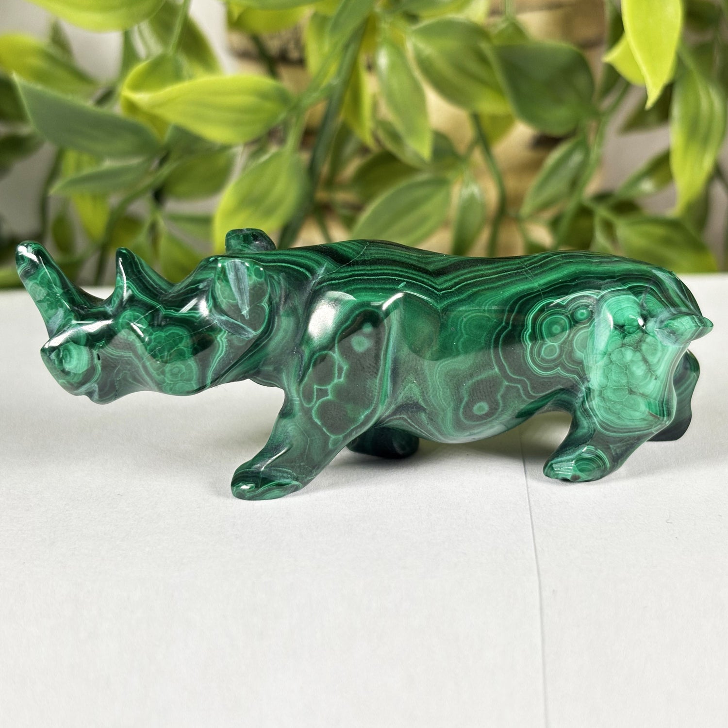 Malachite Rhino Carving - Gem Avenue Retail