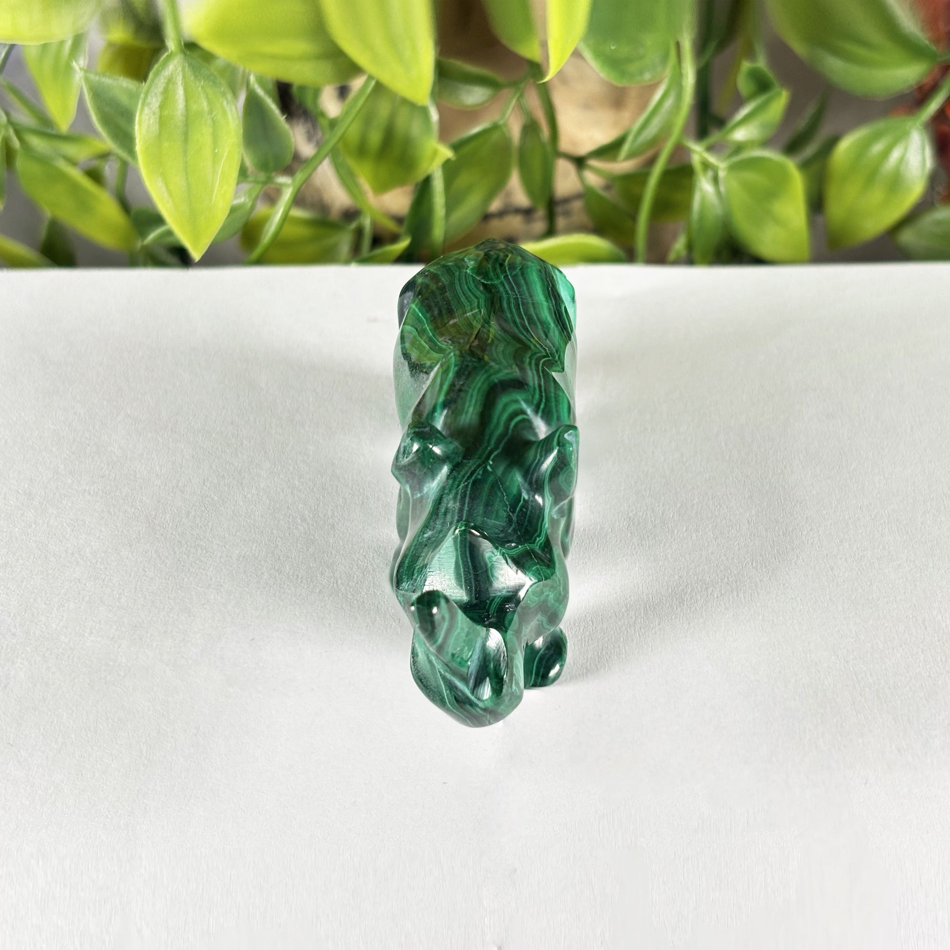 Malachite Rhino Carving - Gem Avenue Retail